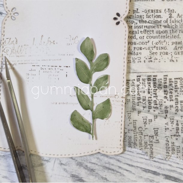 Die Campanulablad gummiapan FORUDBESTILLING