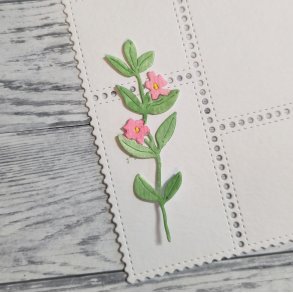 Die Vinca Major gummiapan 