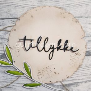 Die Tillykke gummiapan 