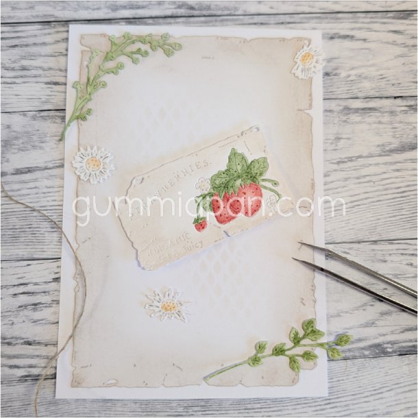 Die Ticket With Strawberries gummiapan 