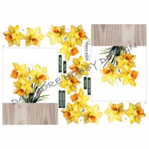 3D ark Q 27147 Pskelilje M18