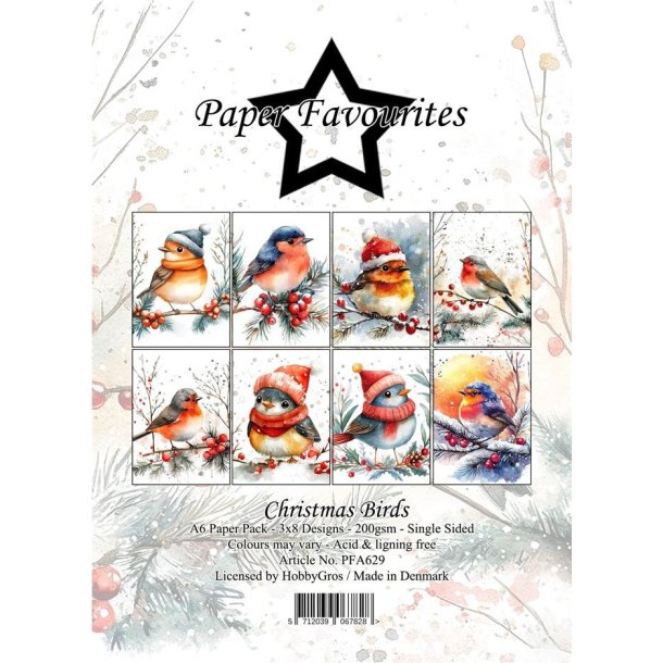 Papirblok PFA629 Christmas Birds A6 Paper Favourites