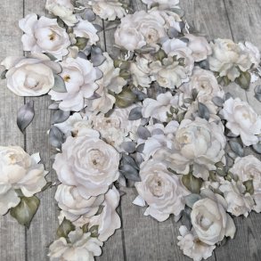 Dan Cuts Hvide roser