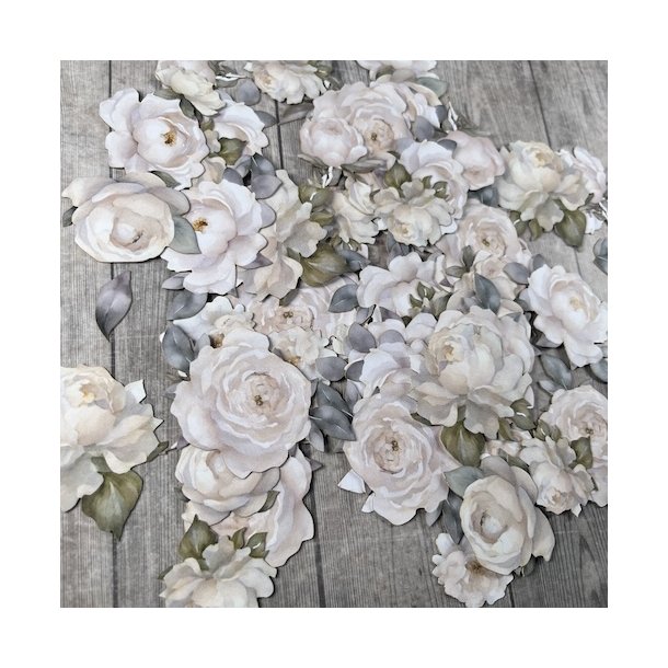 Dan Cuts Hvide roser