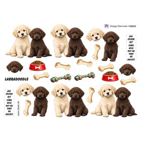 3D ark Labradoodle, HM design M48
