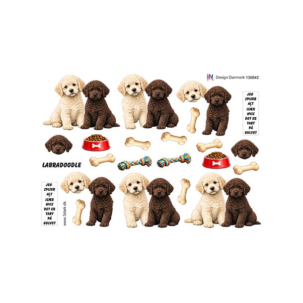 3D ark Labradoodle, HM design M48