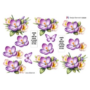 3D ark For�rsblomster med sommerfugl HM design M48