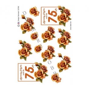 3D ark 75 r orange rose M11