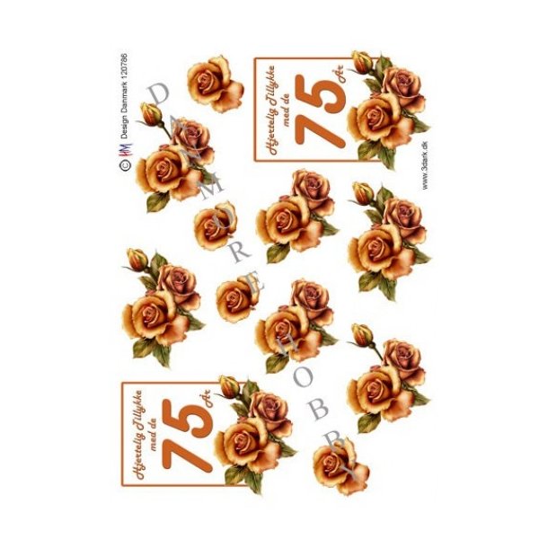 3D ark 75 r orange rose M11