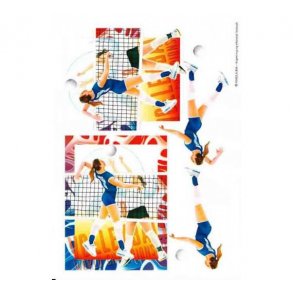 3D ark A5 volleybold pige M21