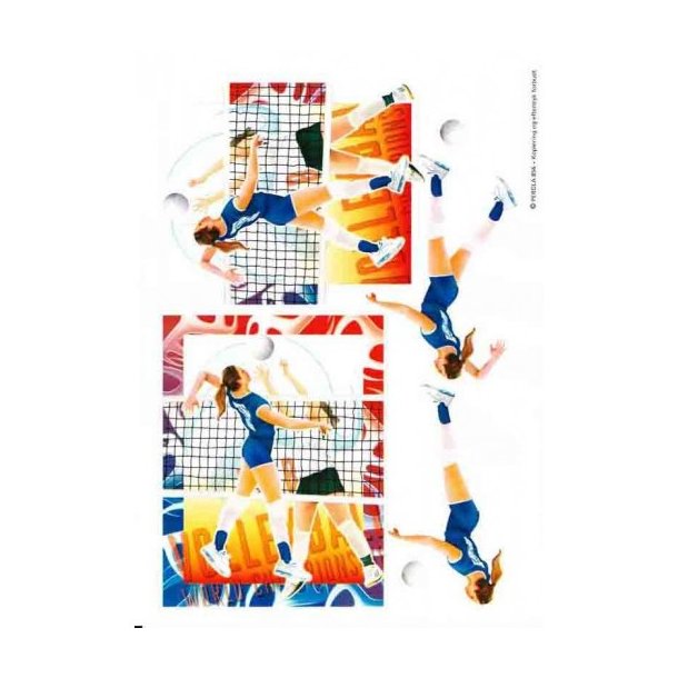 3D ark A5 volleybold pige M21