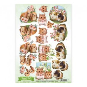 3D ark Amy 10959 Hamster M46