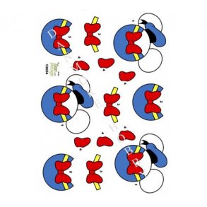 3D ark Anders And M3