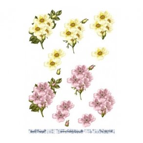 3D ark barto blomster M1