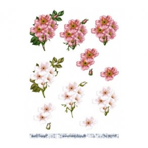 3D ark barto blomster M1