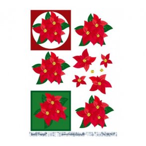 3D ark Barto Julestjerne M26