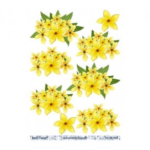 3D ark blomster M 39