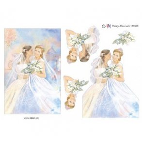 3D ark Bryllup, Lesbisk par A5 M35