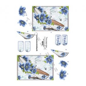 3D ark Dan-quick stiletsko M31