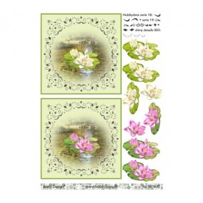 3D ark dot, kande M39