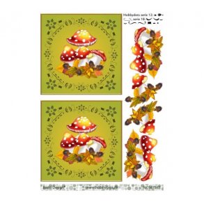 3D ark dot, svampe M33