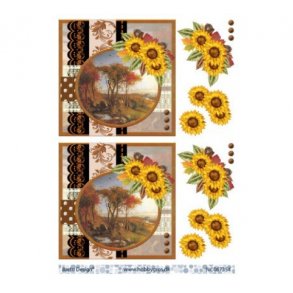 3D ark efter�r & solsikker M29