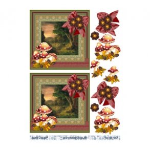 3D ark efter�r med svampe M33