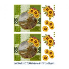 3D ark efter�r/solsikker M33