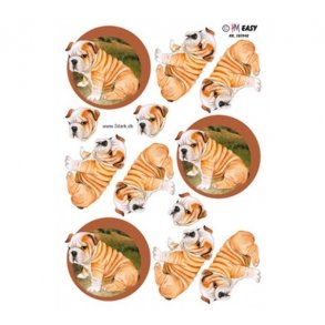 3D ark Engelsk Bulldog M40