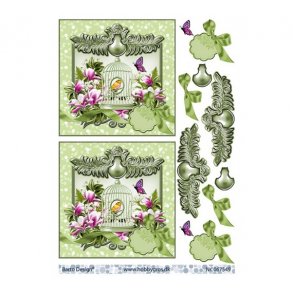 3D ark Fugl i bur,lime M33