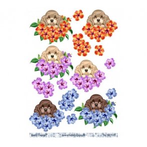 3D ark hund & blomst M8