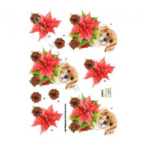 3D ark Juleblomst og hund M46