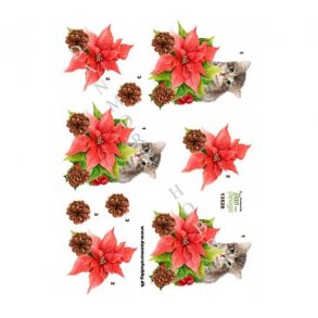 3D ark Juleblomst og kat M46