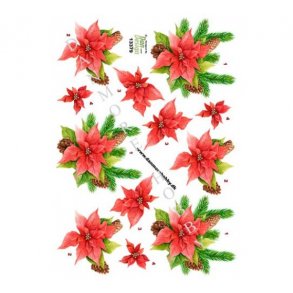 3D ark Julestjerne M43