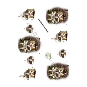 3D ark kaffeb�nner M3