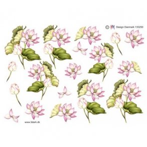 3D ark kandeblomster M46