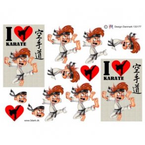 3D ark Karatedreng M44