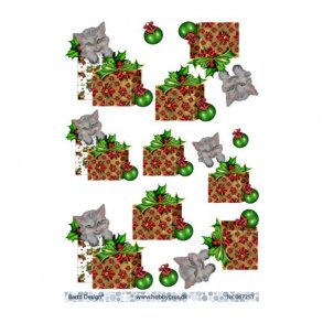 3D ark Kat og julegave M24