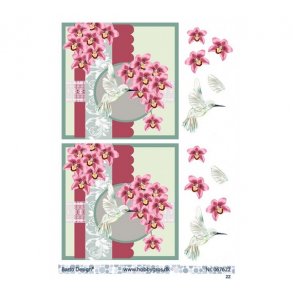 3D ark Orkideer og fugl M4