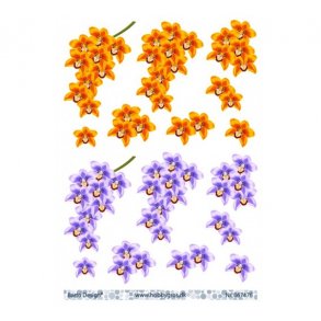 3D ark Orkide lilla & orange M39