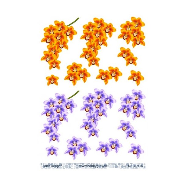 3D ark Orkide lilla &amp; orange M39