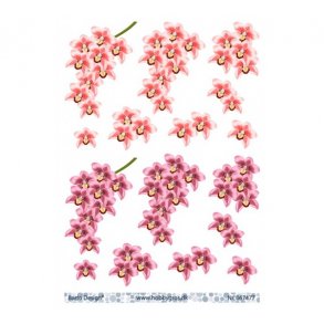3D ark Orkide lyserd & pink M39