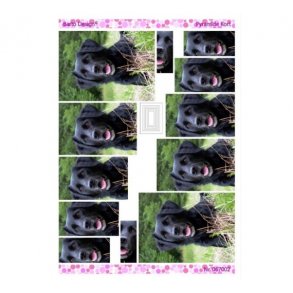 3D ark pyramide hund M24