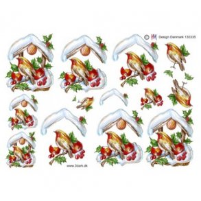 3D ark Rdklk ved fuglehus M13