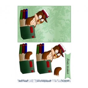 3D ark Rd student A5 M27