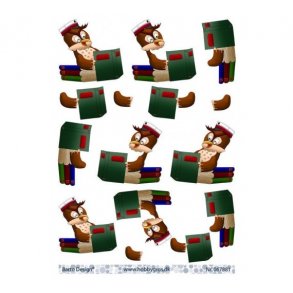 3D ark Rd student M27