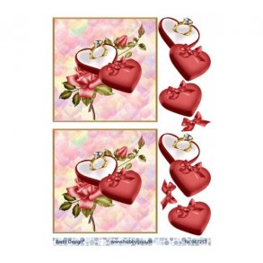 3D ark Ring i ske M29