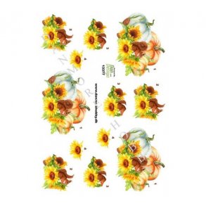 3D ark Solsikke,gr�skar & egern M43