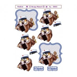 3D ark student bl hue M18