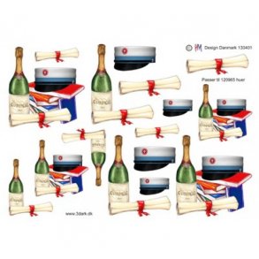 3D ark Studenterhue, blt bnd M25